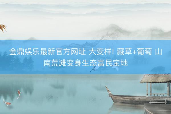 金鼎娱乐最新官方网址 大变样! 藏草+葡萄 山南荒滩变身生态富民宝地