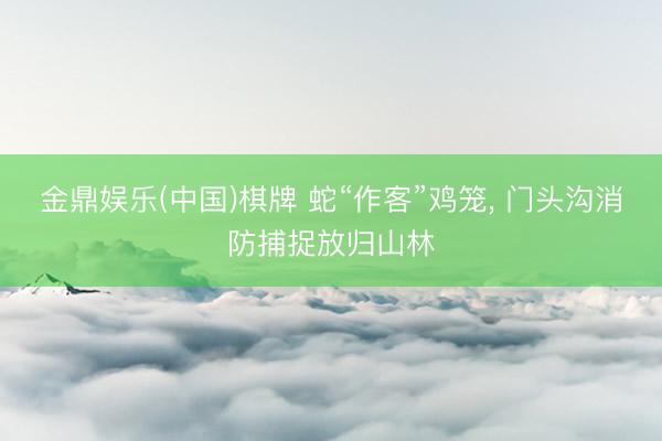 金鼎娱乐(中国)棋牌 蛇“作客”鸡笼， 门头沟消防捕捉放归山林