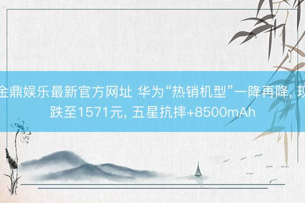 金鼎娱乐最新官方网址 华为“热销机型”一降再降， 现跌至1571元， 五星抗摔+8500mAh