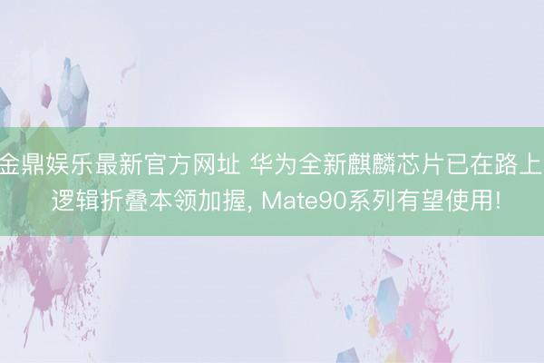金鼎娱乐最新官方网址 华为全新麒麟芯片已在路上: 逻辑折叠本领加握， Mate90系列有望使用!